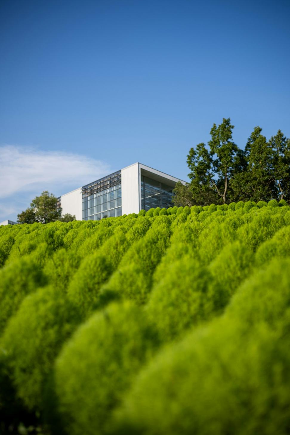 Eco-Friendly Residence